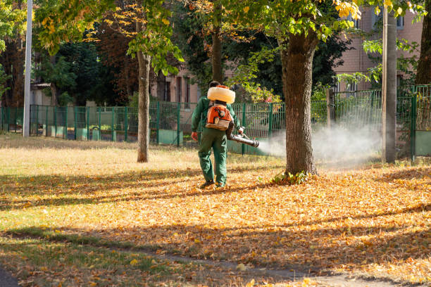 Best Pest Removal Services  in Mission Hills, KS